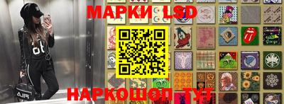 спиды Ливны